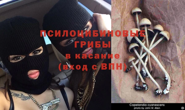 трава Володарск