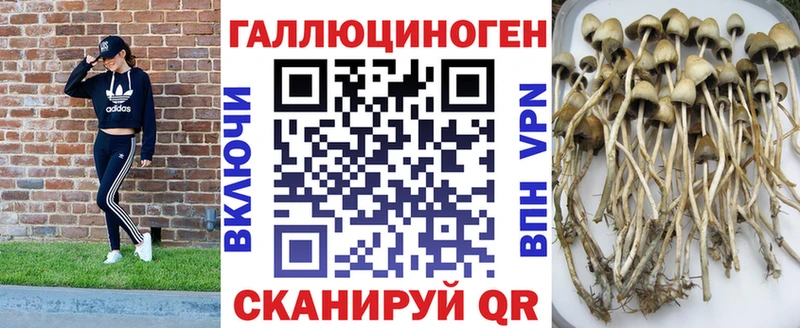 Галлюциногенные грибы Cubensis  Дзержинск 